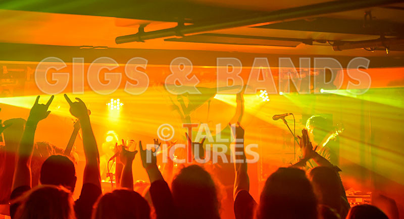 Stone Em All-259 - STONE EM ALL