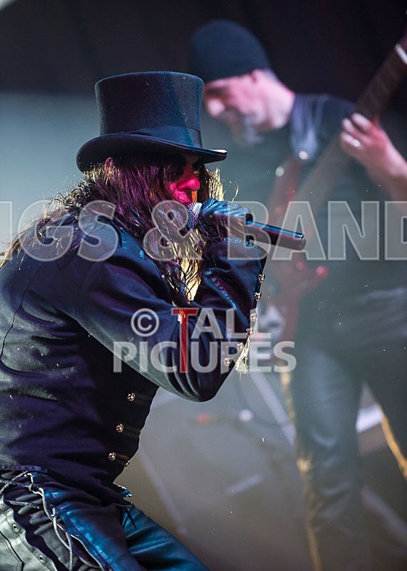 Gallus Cooper-3 - GALLUS COOPER