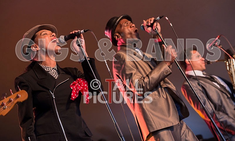 The Selecter-15 - THE SELECTER