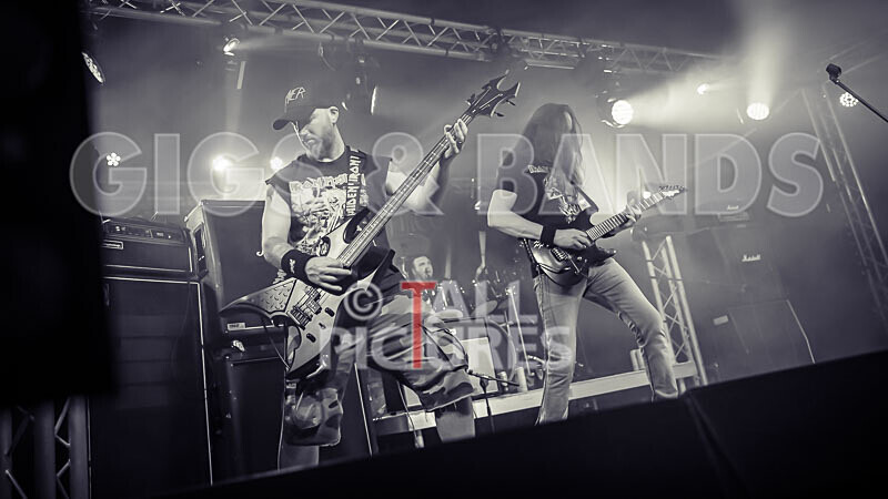 Maiden Guernsey-277 - MAIDEN GUERNSEY