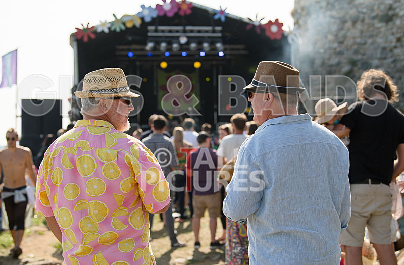 Vale Earth Fair 2017_SCENE-9 - VALE EARTH FAIR 2017_THE SCENE