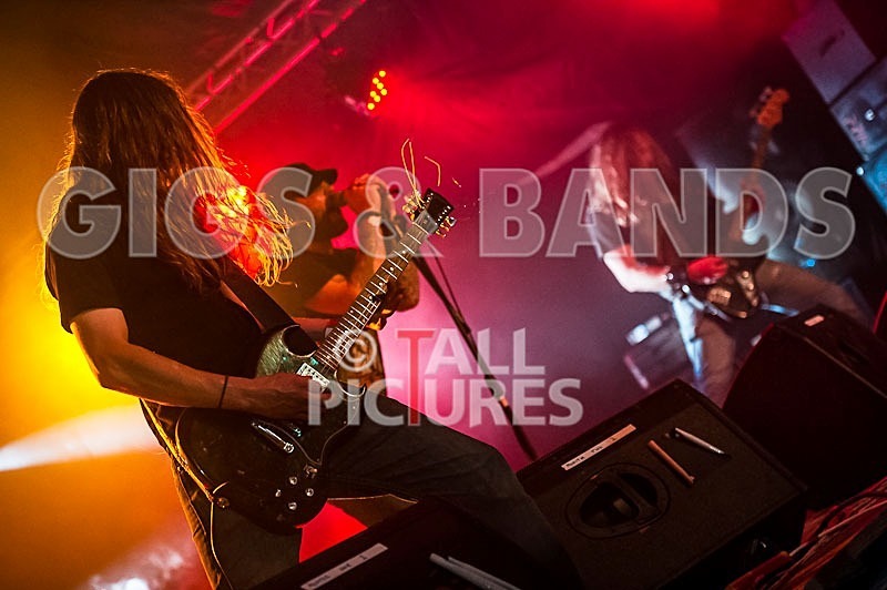 Viking Skull-18 - VIKING SKULL