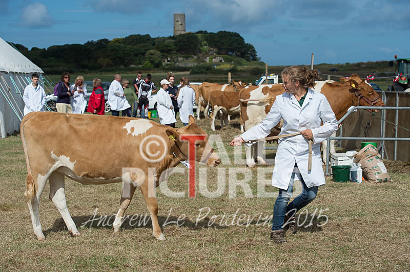 West Show_2014-12 - THE WEST SHOW 2014