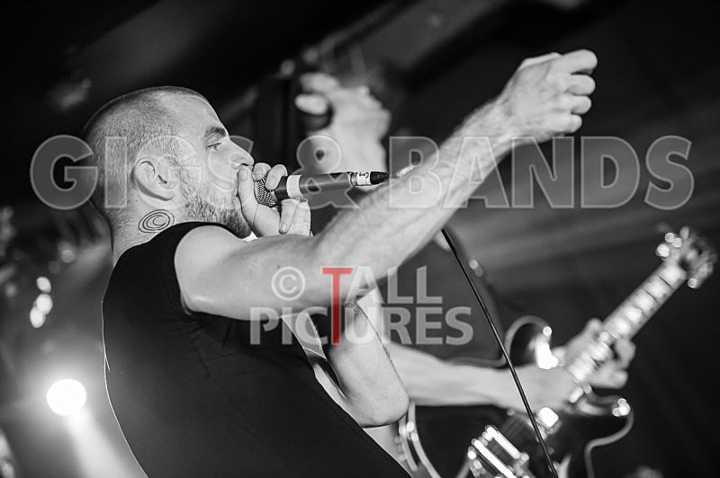 Heymoonshaker-14 - HEYMOONSHAKER