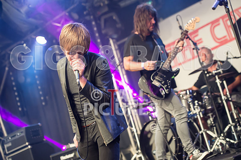 The Cryptics-71 - THE CRYPTICS