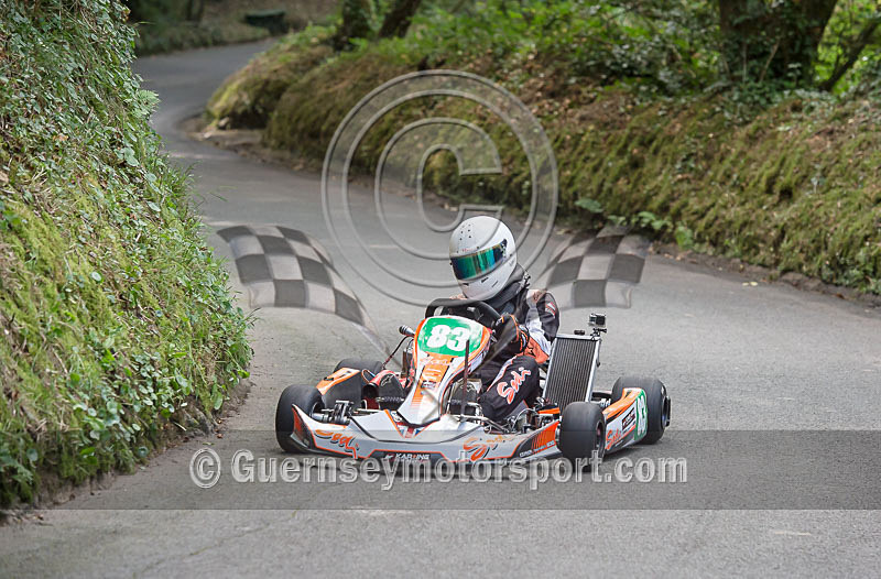 Petit Bot Hillclimb_2015_KART-41 - PETIT BOT HILL CLIMB 2015 - KARTS