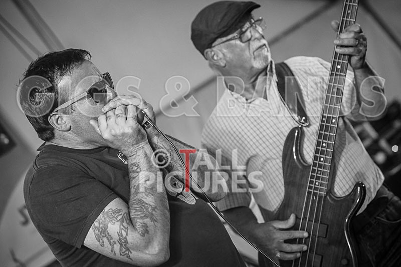 Hevvy Bevvy Blues Band-36 - HEVVY BEVVY BLUES BAND