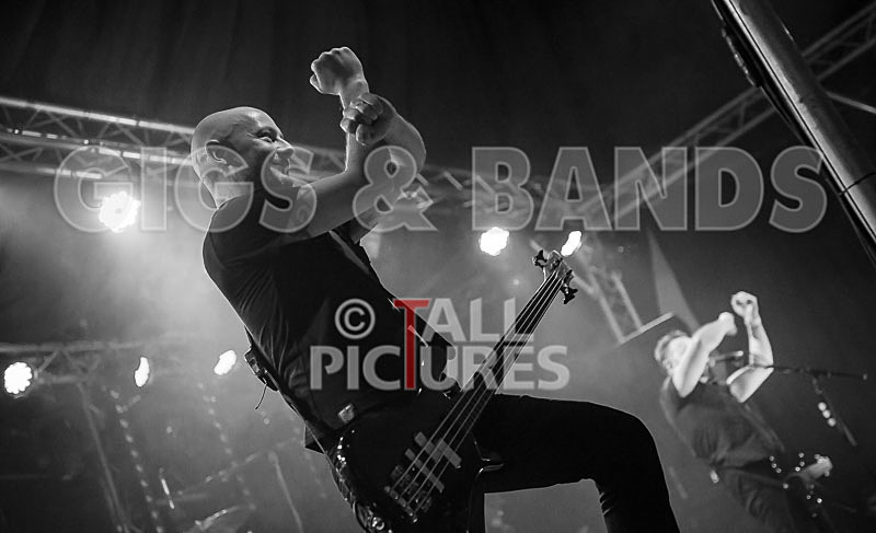 Therapy--36 - THERAPY?