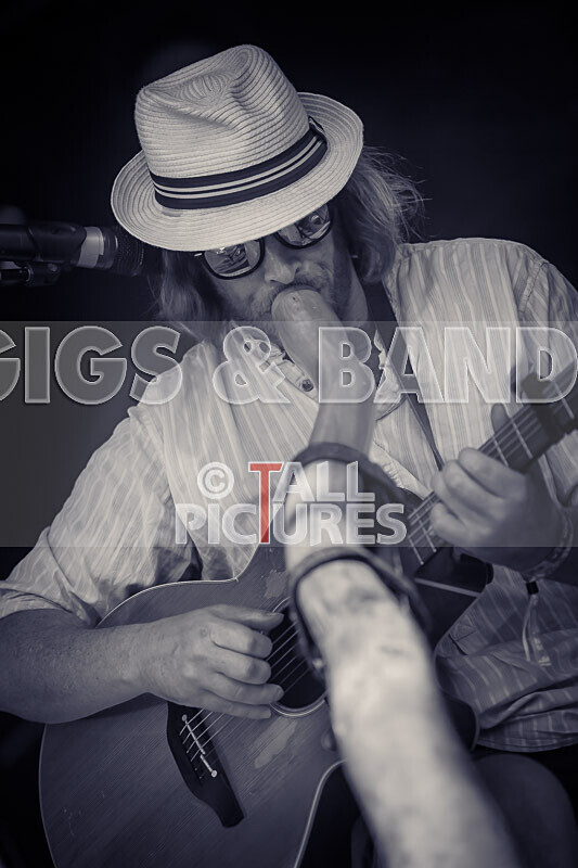 Buffalo Hudleston-733 - BUFFALO HUDLESTON