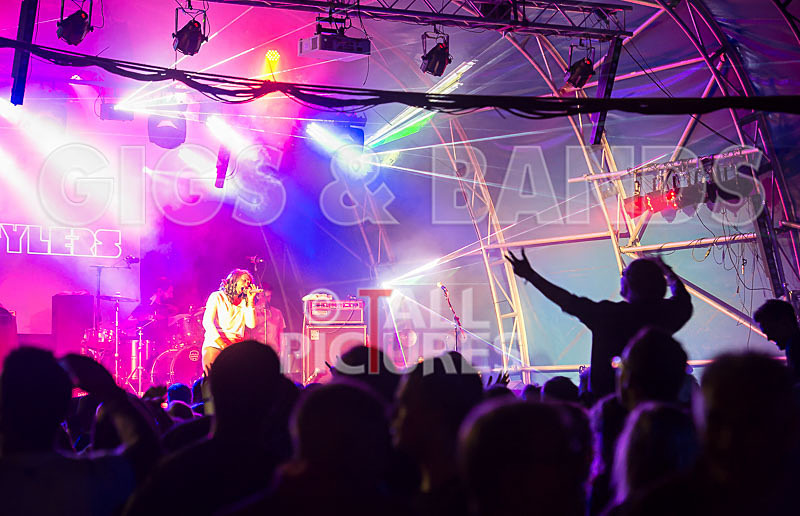 Vale Earth Fair_Atmosphere_2014-81 - VALE EARTH FAIR 2014 - THE ATMOSPHERE