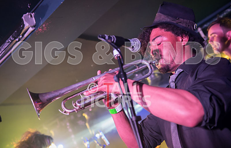 The Recks-251 - THE RECKS