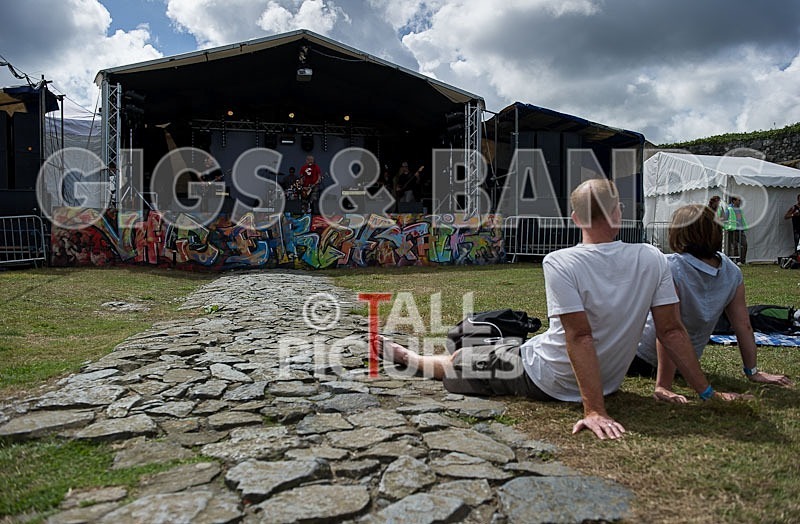 VEF_2012_Good Vibes-1 - THE GOOD VIBES....