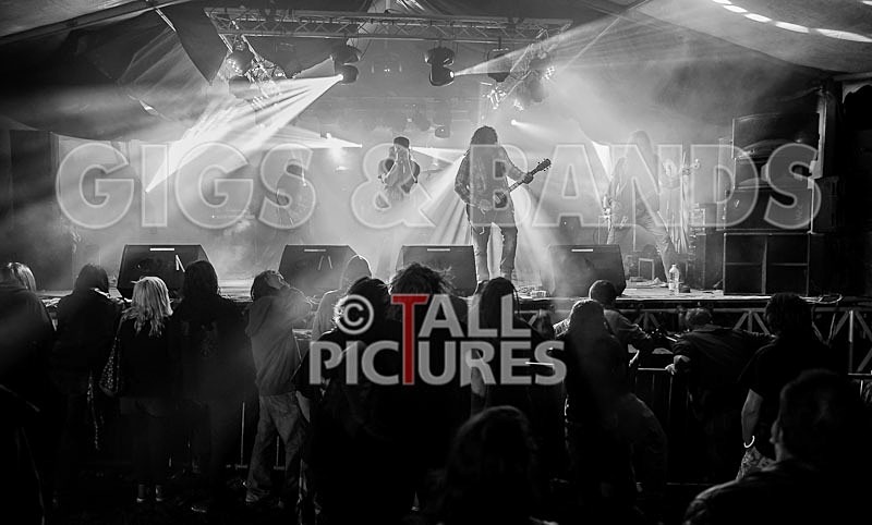 Viking Skull-25 - VIKING SKULL