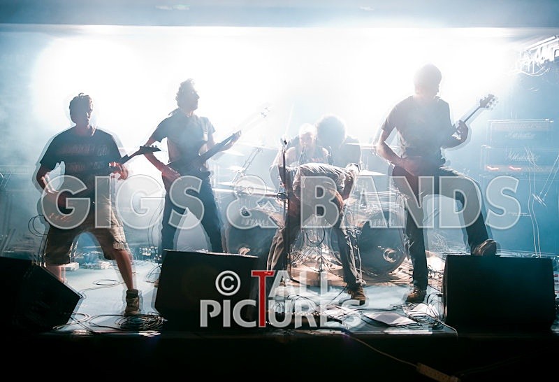 Brutus Stonefist-249 - BRUTUS STONEFIST