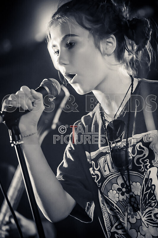 Aviators-2 - AVIATORS