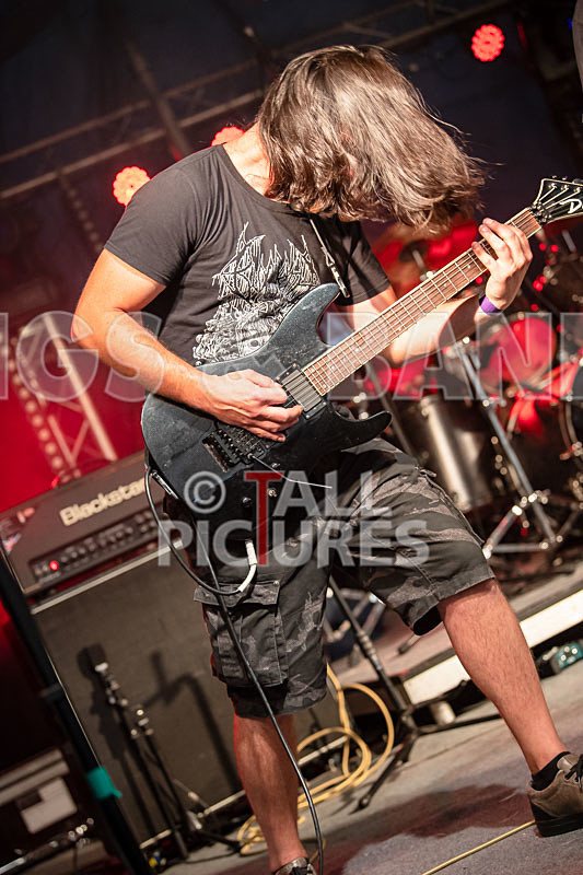 Masticated-6 - MASTICATED