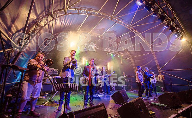 King Rat and the Soul Cats-296 - KING RAT AND THE SOUL CATS