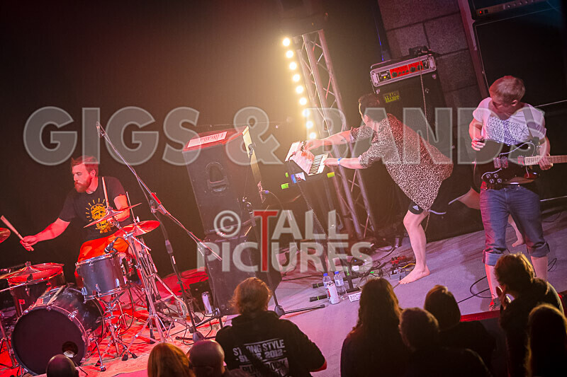 Pigsx7-8 - PIGS PIGS PIGS PIGS PIGS PIGS PIGS