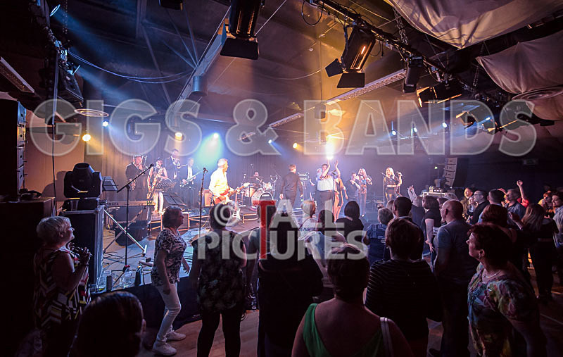 King Rat_30th Birthday Gig-92 - KING RAT AND THE SOUL CATS 30th BIRTHDAY