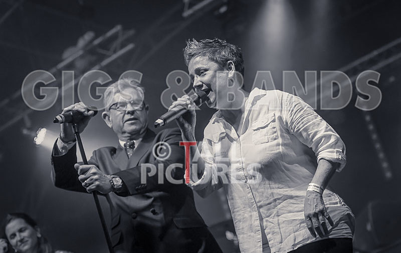 King Rat and the Soul Cats-292 - KING RAT AND THE SOUL CATS