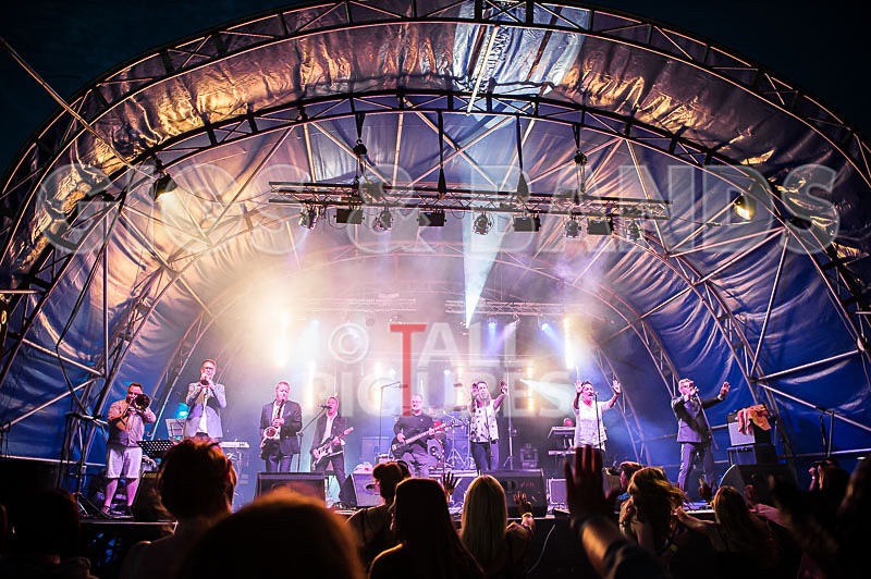 King Rat and the Soul Cats-258 - KING RAT AND THE SOUL CATS