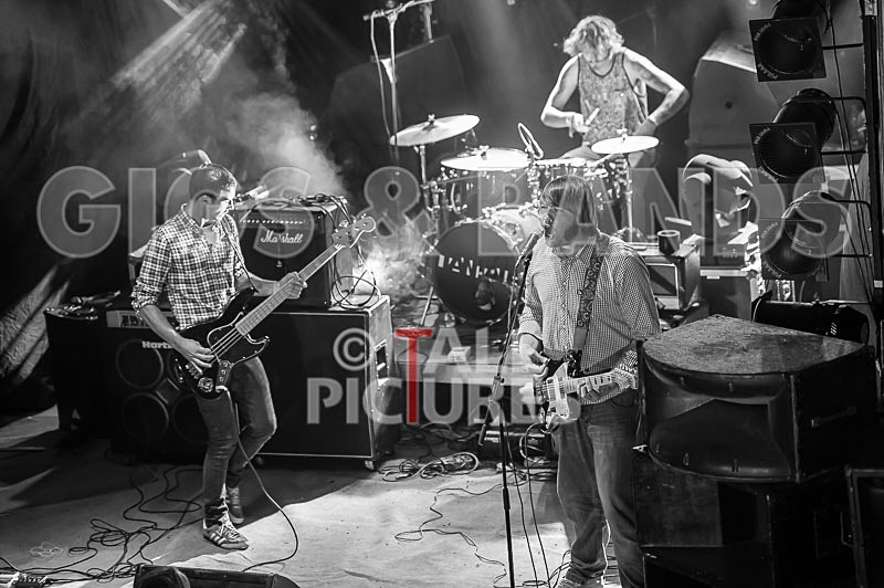 To the Woods-178 - TO THE WOODS