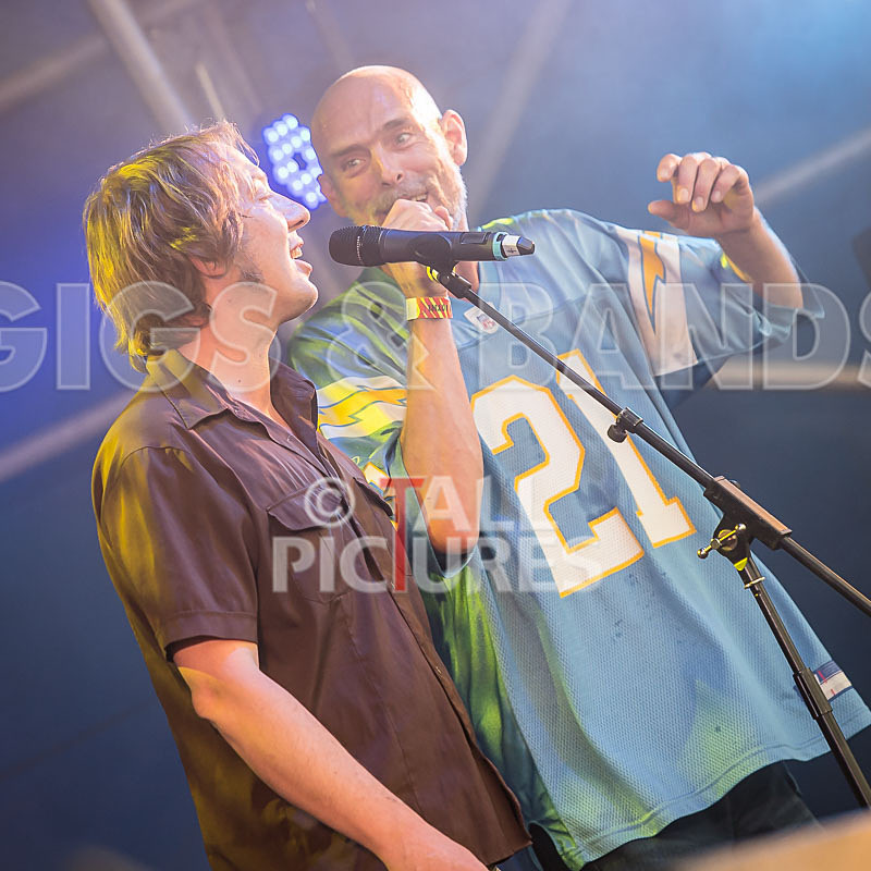 The Dynamics-33 - THE DYNAMICS