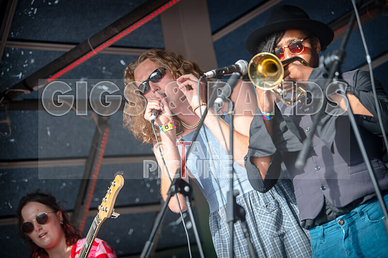 The Pips-149 - THE PIPS