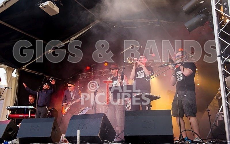 Sons of the Desert-198 - SONS OF THE DESERT