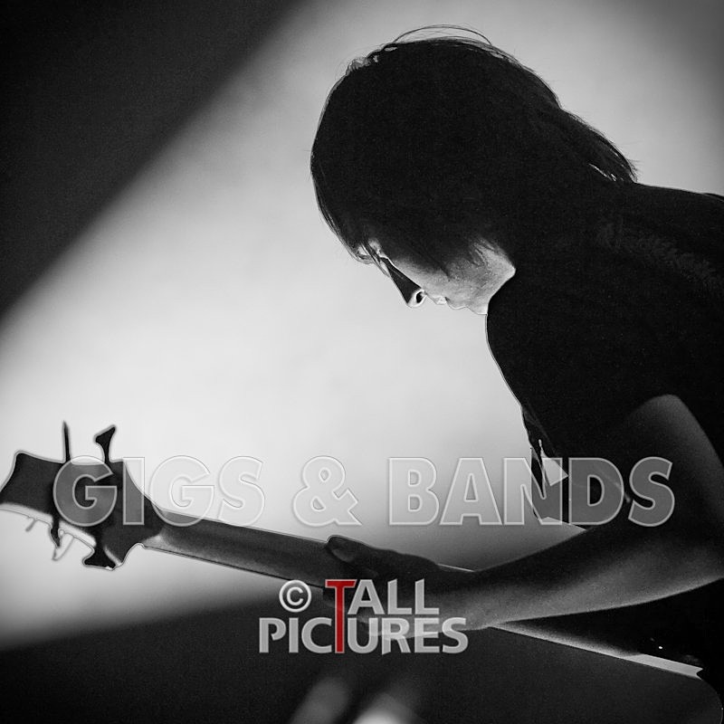 Brutus Stonefist-27 - BRUTUS STONEFIST at RoA-2