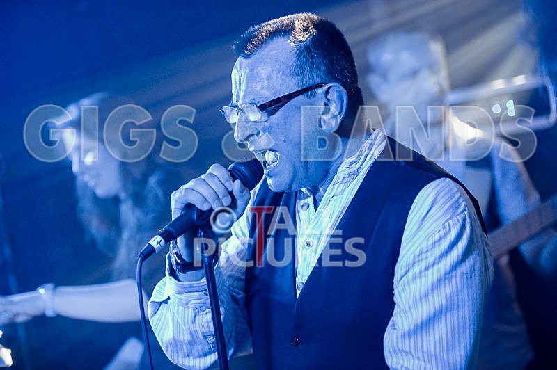 Elysium-299 - ELYSIUM