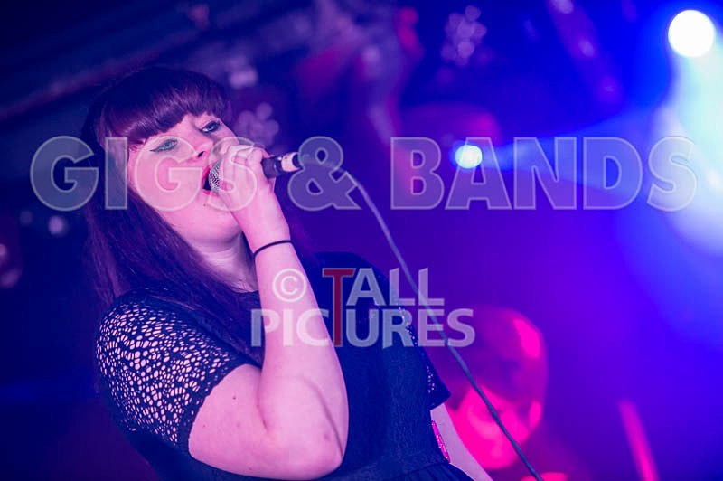 The Doomsday Project-81 - THE DOOMSDAY PROJECT