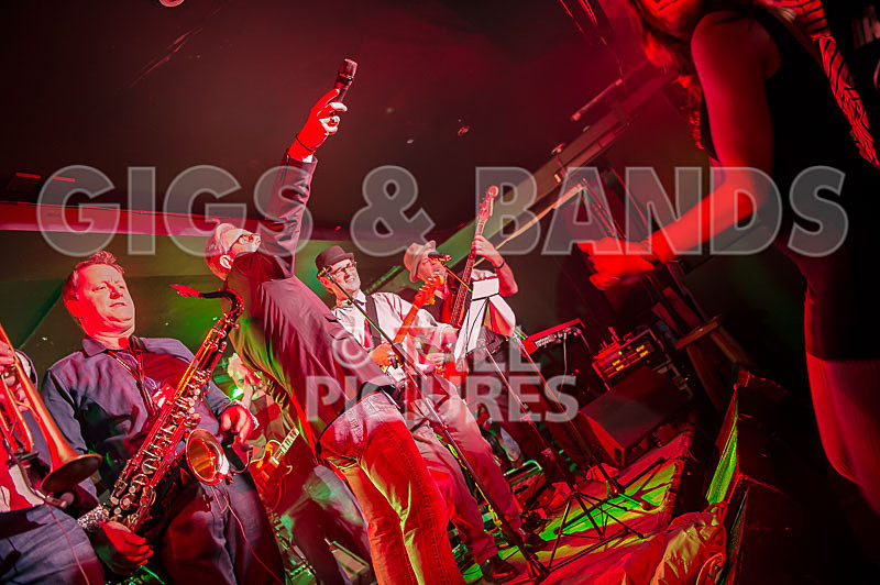Alfie Bartons 25th Anniversary Gig-151 - ALFIE BARTON'S 25th ANNIVERSARY SPECIAL
