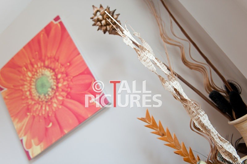 Duke of Normandie Hotel-129 - DUKE OF NORMANDIE HOTEL