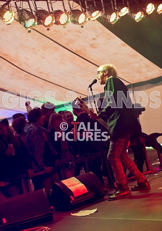 Top Buzzer-17 - TOP BUZZER