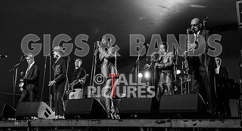 The Selecter-23 - THE SELECTER