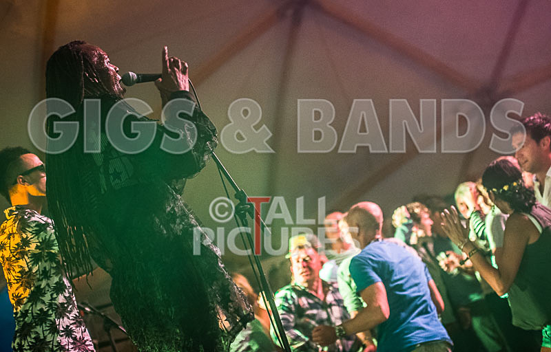 The Beat-59 - THE BEAT