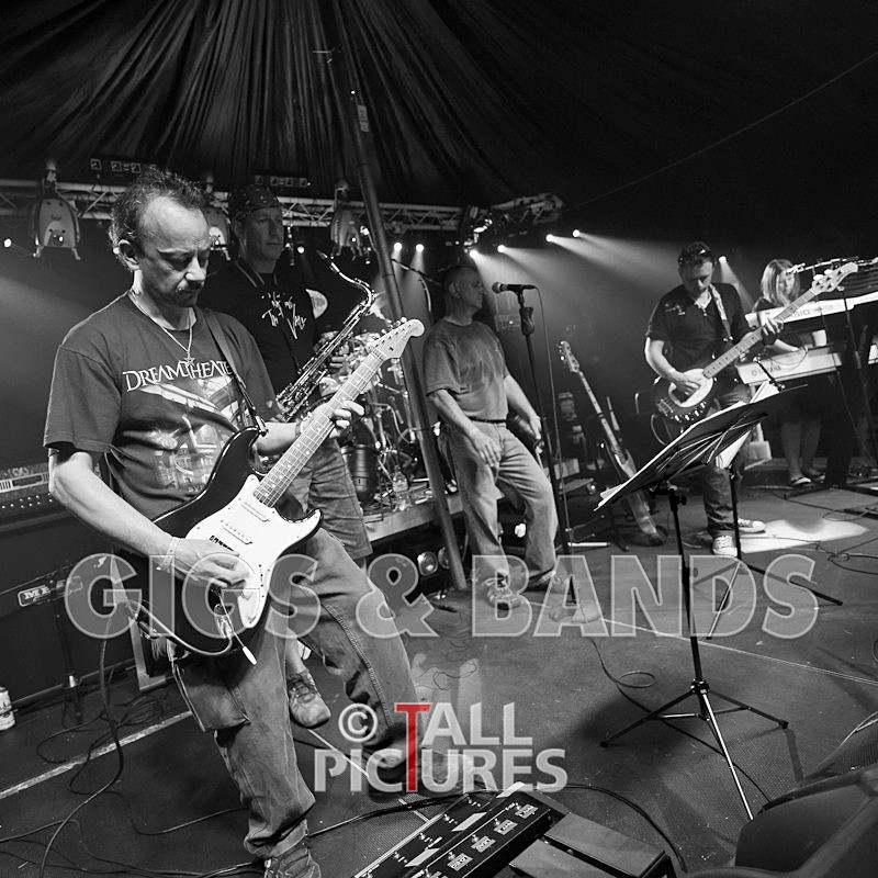 Elysium-135 - ELYSIUM