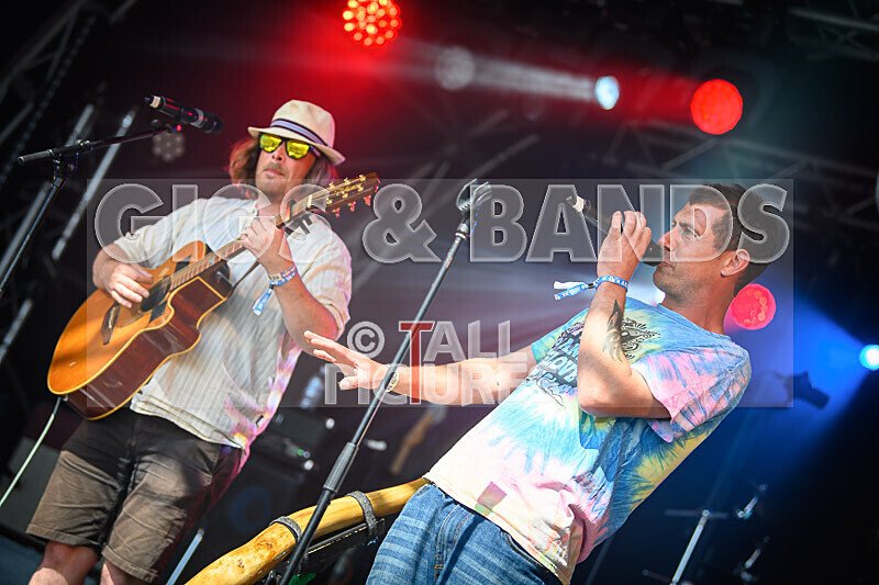 Buffalo Hudleston-728 - BUFFALO HUDLESTON