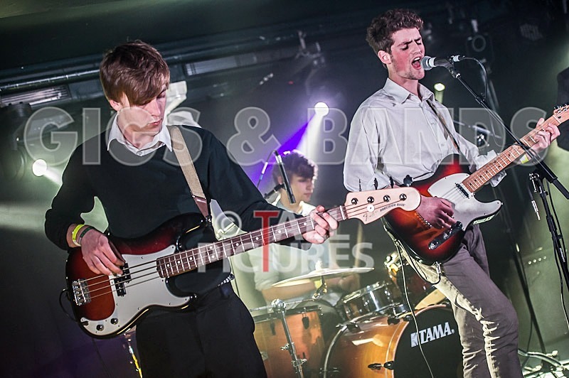 China Aster-62 - CHINA ASTER