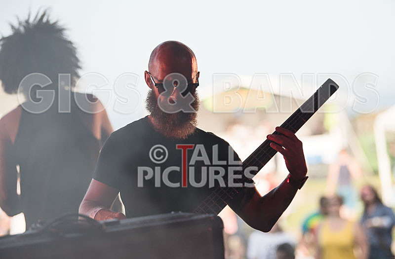 Tree House Fire-17 - TREE HOUSE FIRE