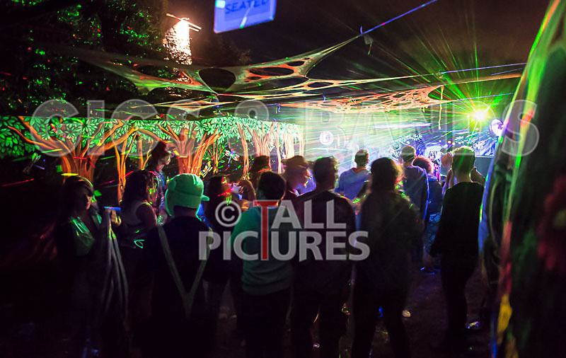 Vale Earth Fair_Atmosphere_2014-83 - VALE EARTH FAIR 2014 - THE ATMOSPHERE