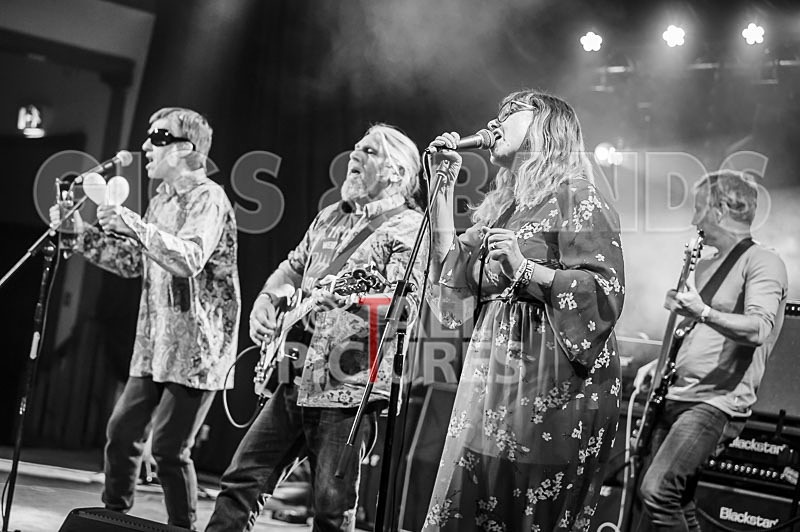 The Sacred Hearts-25 - THE SACRED HEARTS