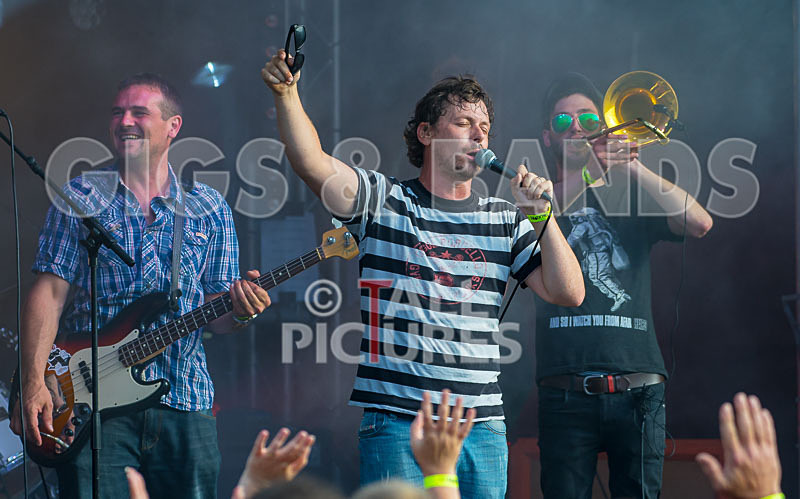 Pirate Party Brigade-31 - PIRATE PARTY PARADE