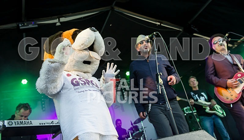 Sons of the Desert-202 - SONS OF THE DESERT