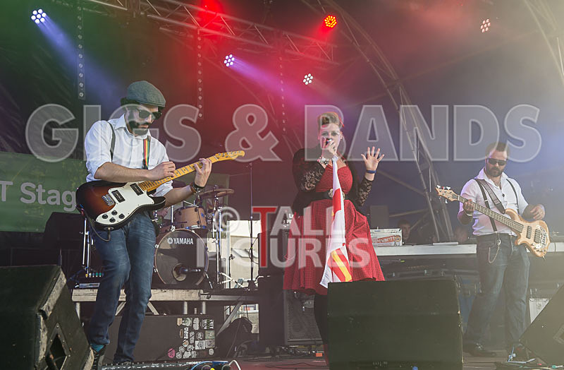 Static Alice-349 - STATIC ALICE