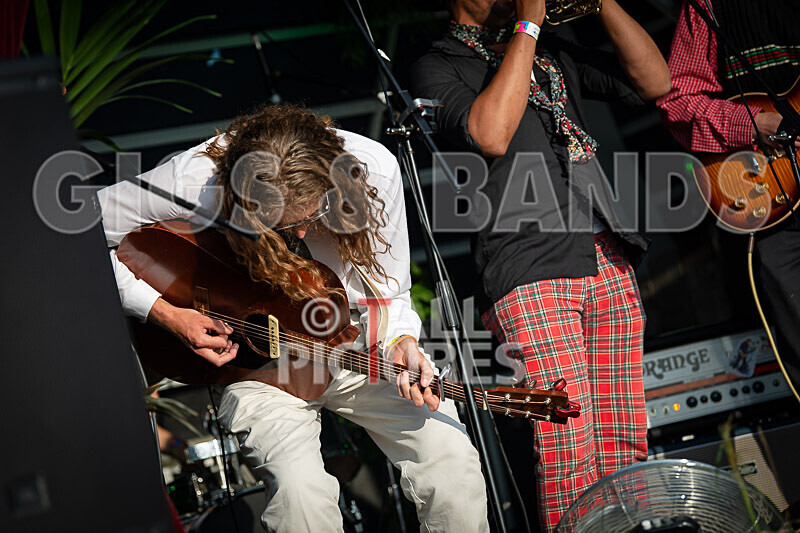 Elliot Albert Orchard-2 - ELLIOT ALBERT ORCHARD