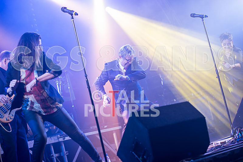 King Rat and the Soul Cats-234 - KING RAT AND THE SOUL CATS