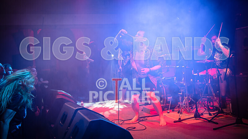 Pigsx7-115 - PIGS PIGS PIGS PIGS PIGS PIGS PIGS