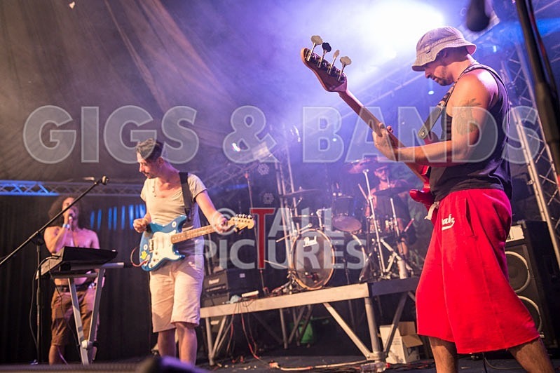 Chaos 2013_Harlequin Knights-45 - HARLEQUIN KNIGHTS